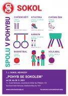 Pohyb se sokolem
